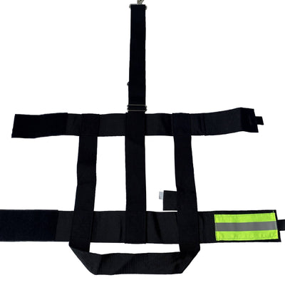 LINE2EMS watercan harness